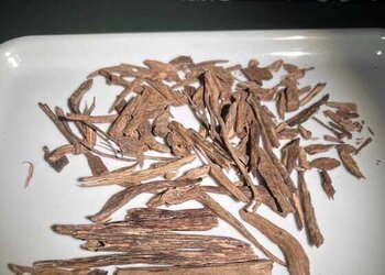 20克海南小树心正区海南老香