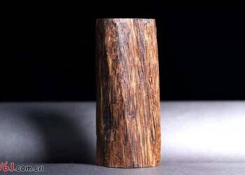 达拉干沉香原材