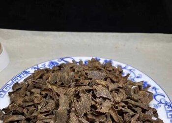 沉水老虫漏油脂鲜活，香气醇厚甜凉