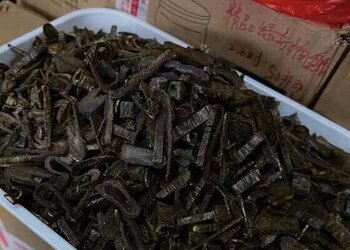 莺歌绿奇楠沉水料车珠时剩下的边角料