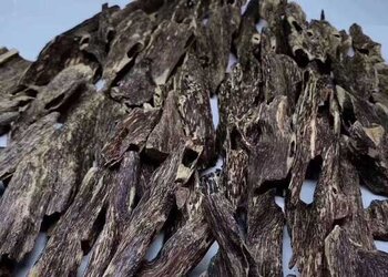 海南虫漏特价，海南老虫漏料低价结缘