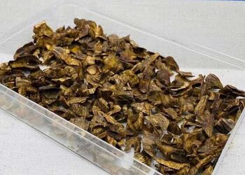 精品全油白奇楠养生沉香/碎料