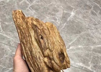 天然菩萨棋沉香大块料，兰花香浓郁