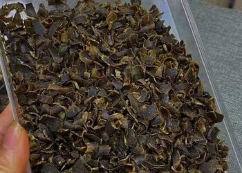 沉水稀有品种“张勺子”沉水奇楠软油品香片