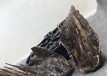 海南黑油壳子包头，刚加工出来