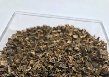 绿棋楠九分沉水碎料高品质油脂饱满