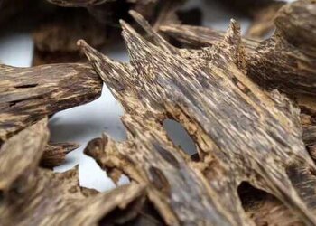 百年房梁上的虫眼老沉香魅力