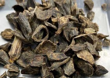 珍藏版沉水白奇楠母树结香大包头