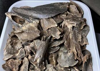 性价比超高的一批海南黑油纯壳料