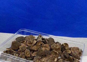 天然绿棋楠壳子树丁全油
