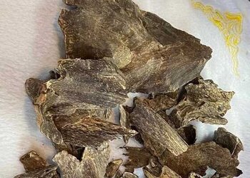 沉香中有一种很受欢迎的料叫壳子香