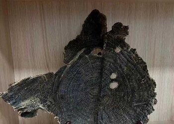 海南黑油铁头铁顶收藏级摆件