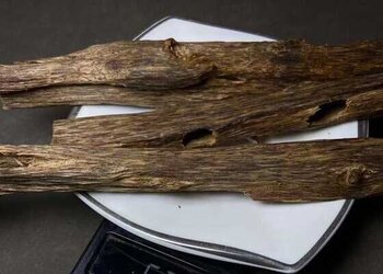 特价520元老树紫奇排油十通透虫漏