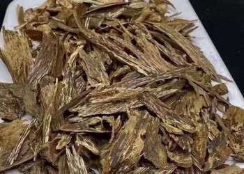 越南芽庄老料虎斑奇熟结小料