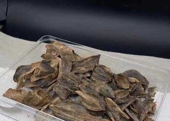 天然虎斑绿奇楠老料油脂密度高