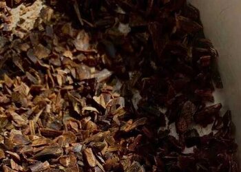 白奇楠沉水树母结香切料珠