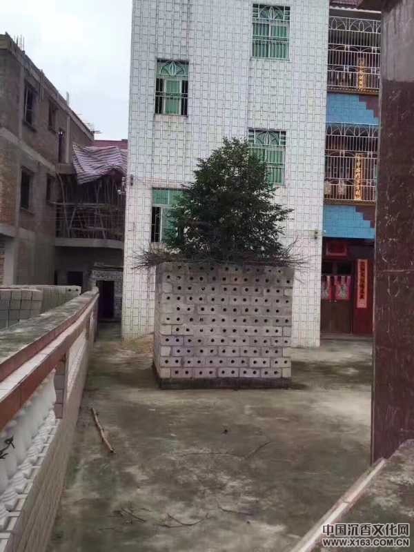 wechat_upload150052016859701ee8abdb0
