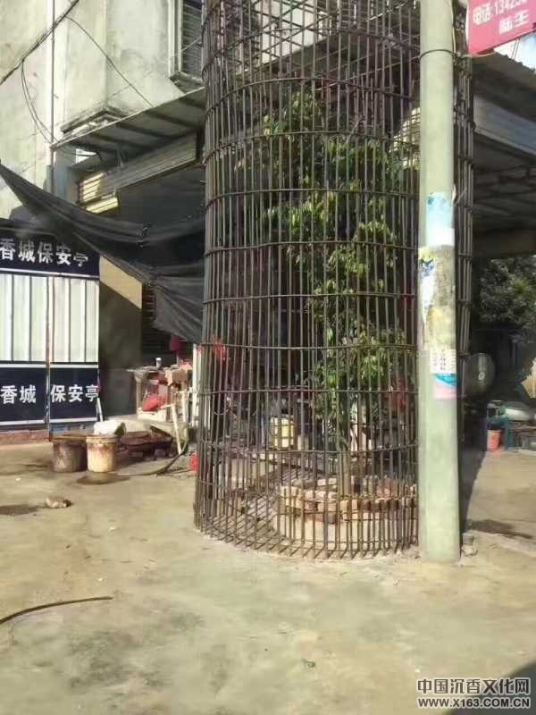 wechat_upload150052017059701eeac3f14