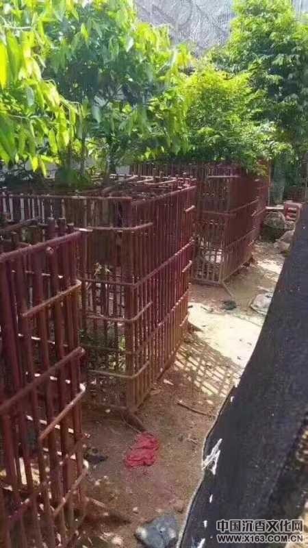 wechat_upload150052017059701eea5ea9e
