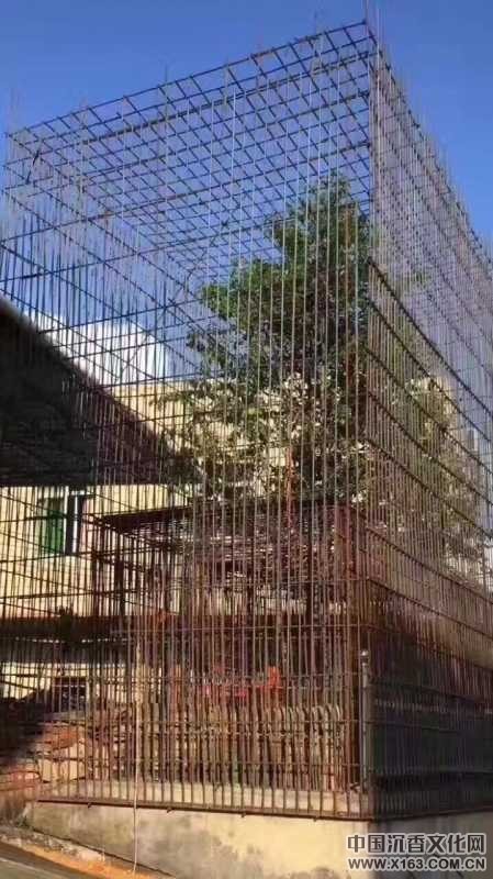 wechat_upload150052017259701eec59a26