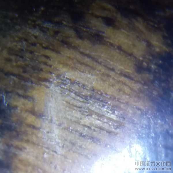 20171019_095948.jpg