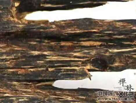 wechat_upload150864056859ec073845cbd