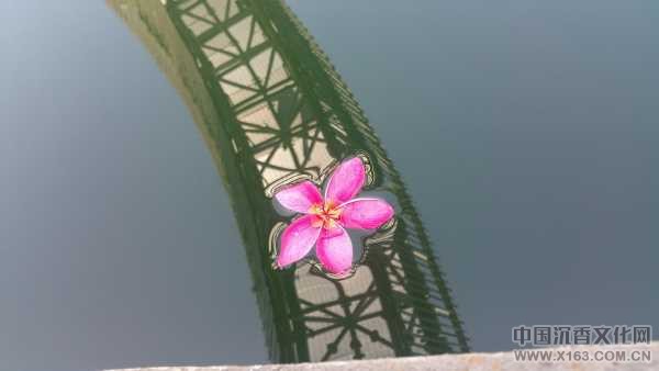 20171029_104855.jpg
