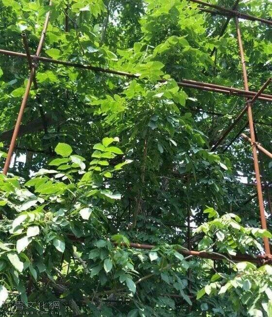 u=982791654,597018365&fm=173&app=25&f=JPEG