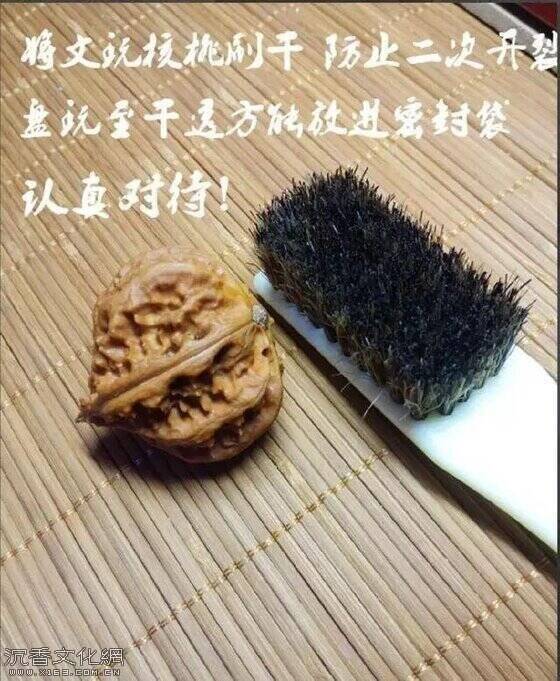 u=626217859,2917092178&fm=173&app=25&f=JPEG