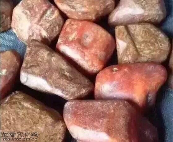 u=3254815203,3395778491&fm=173&app=25&f=JPEG