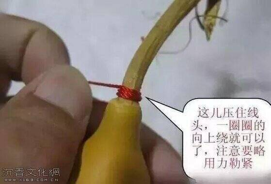 u=2845192407,850990555&fm=173&app=49&f=JPEG