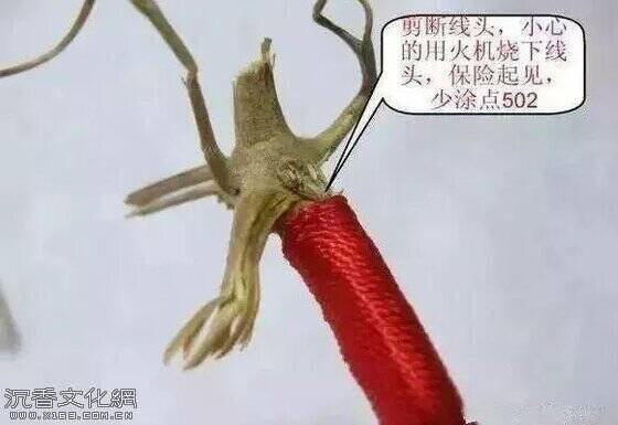 u=4212708601,612944244&fm=173&app=49&f=JPEG