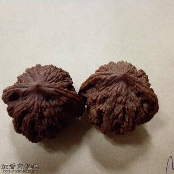 u=1359660767,313245675&fm=173&app=25&f=JPEG