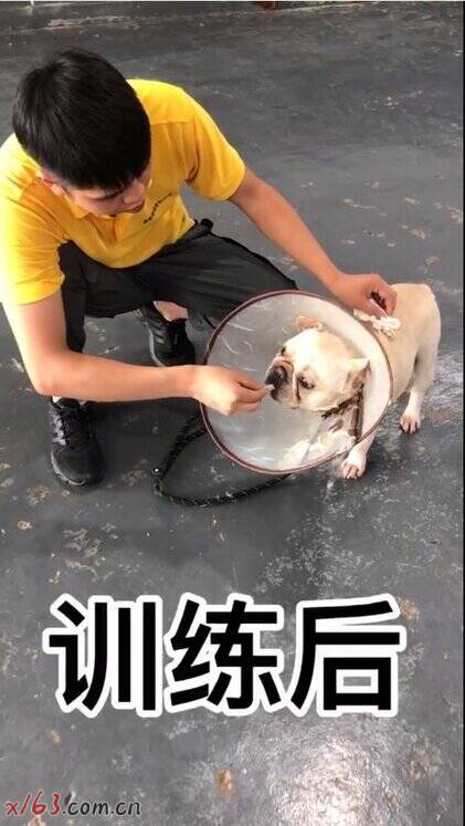 02_爱奇艺.jpg
