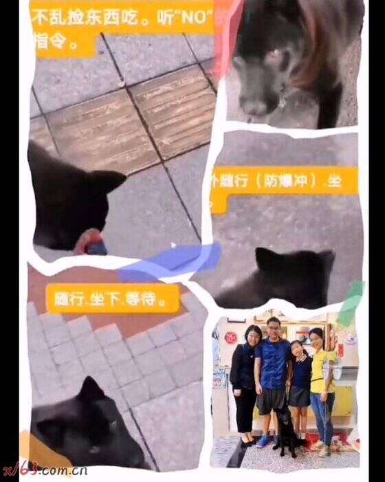 01_爱奇艺.jpg