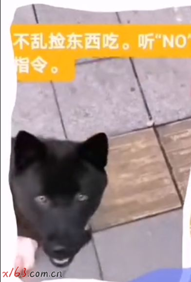 02.png
