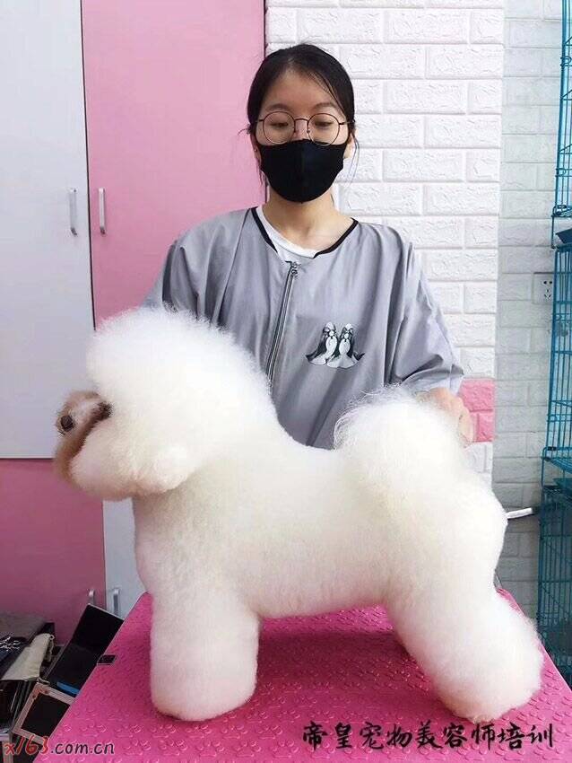 01.jpg