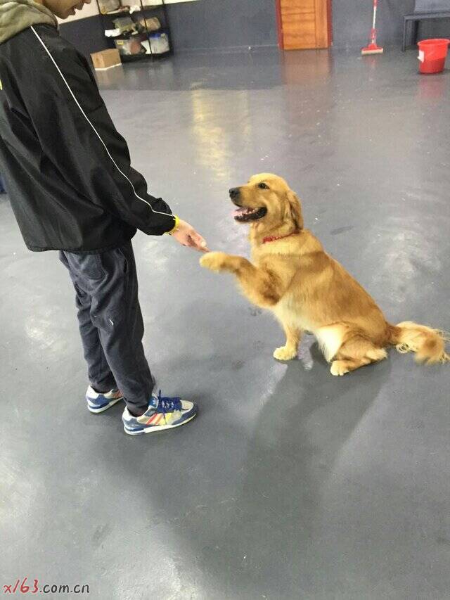 图 (3).jpg