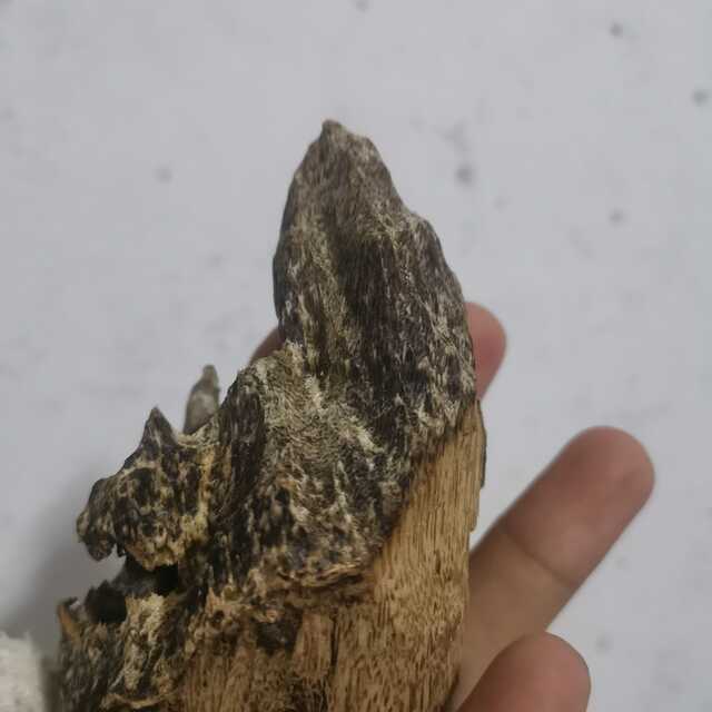 黑油板头