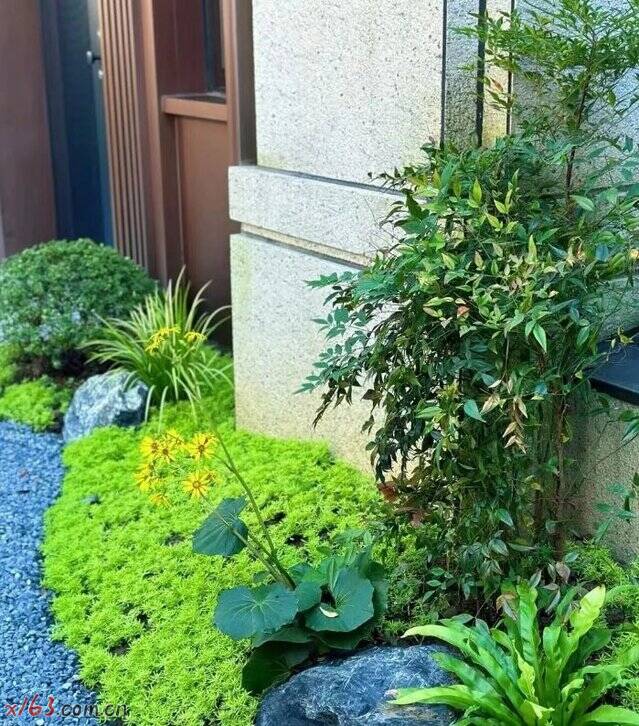 03_爱奇艺.jpg