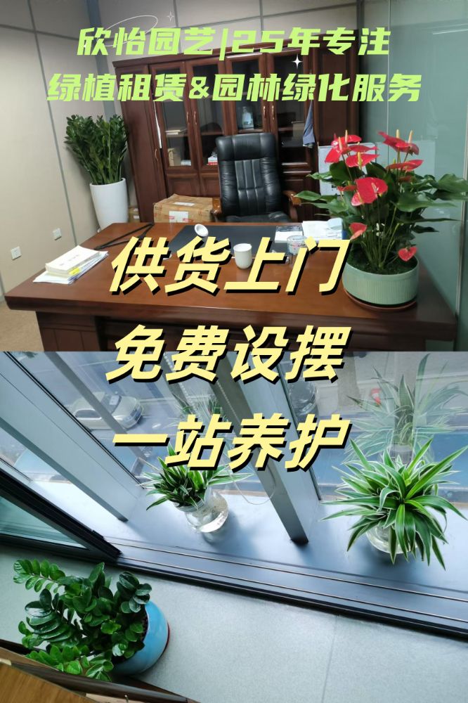 6787635a12a3a.png
