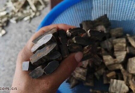 海南种植奇楠沉香沉水珠子手串料块