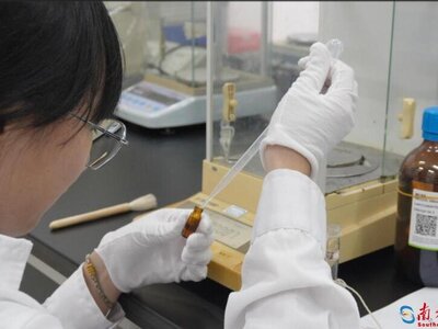广轻大学子解锁化州沉香木屑密码 挖掘沉香新附加值