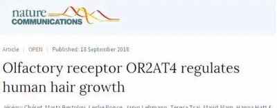 “闻”檀香,防脱发?