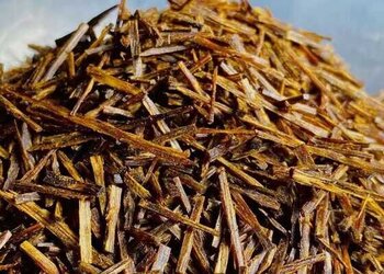 琼脂白奇楠香/顶端兰花结奇楠极品全树心油料