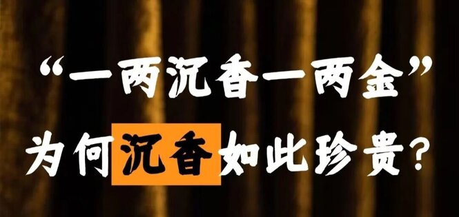 沉香产业的跨境新机遇