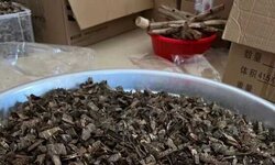 顶级超黑爆油奇楠货粒