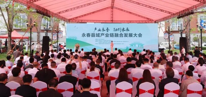 永春召开沉香产业发展交流会 赋能产业发展