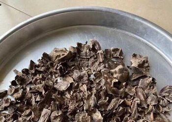 海南天然野生壳子料沉香壳料