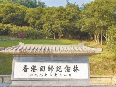 香港回归纪念林｜28载沉香树见证深港情谊